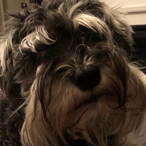 Meet your Posher, Mark